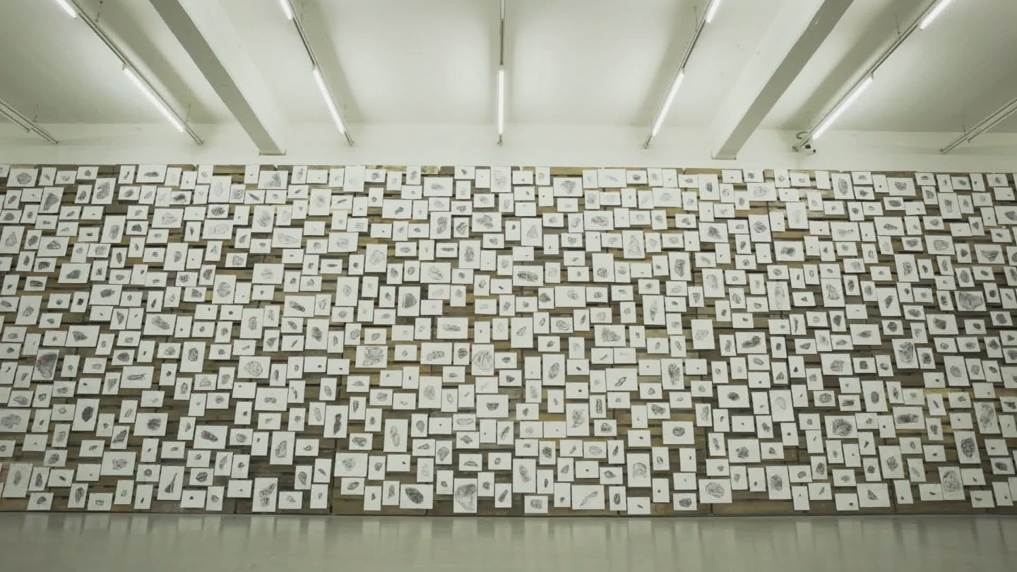 displaced pieces image 3